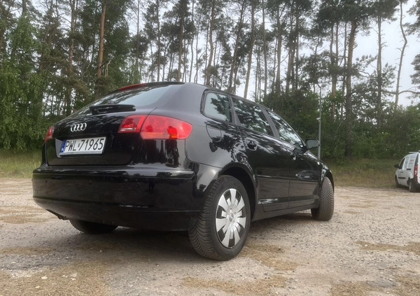 Audi A3 cena 16000 przebieg: 207000, rok produkcji 2005 z Hajnówka małe 106
